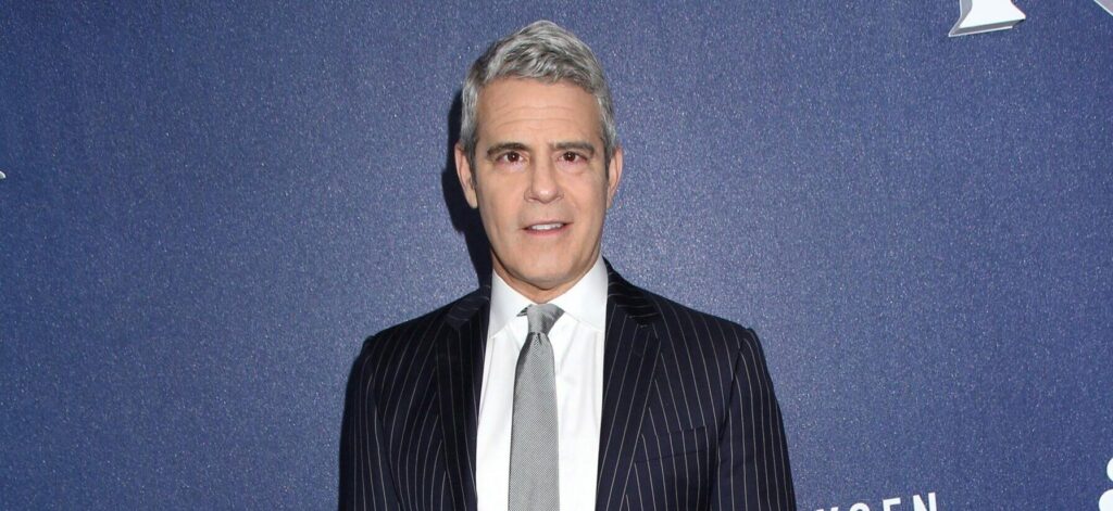 Andy Cohen's 3-Year-Old Son This Cher Is This 'Frozen' Character