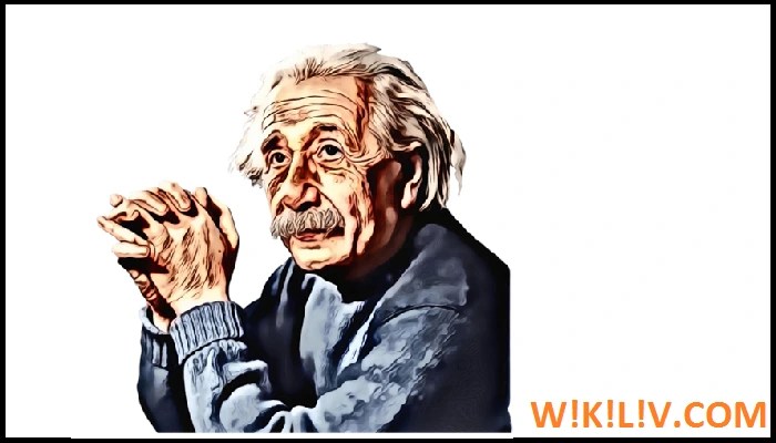 Essay On Albert Einstein For Students