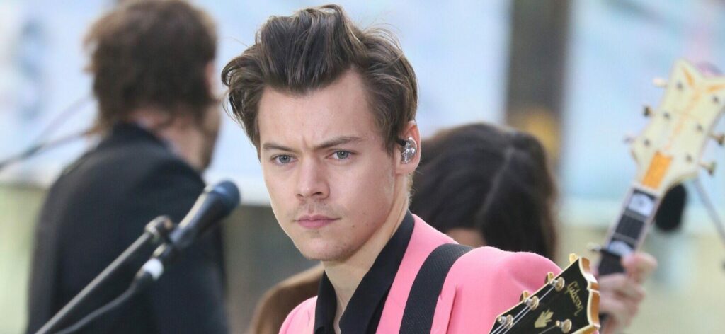 'Don't Worry Darling' Harry Styles Has 'No Idea' About Acting