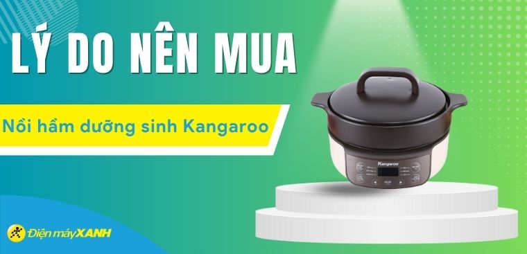 7 lý do nên mua nồi hầm dưỡng sinh Kangaroo cho gia đình