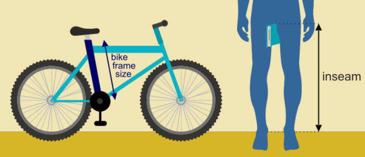 Size xe đạp được tính qua hai thông số là Inseam và kích thước sườn xe