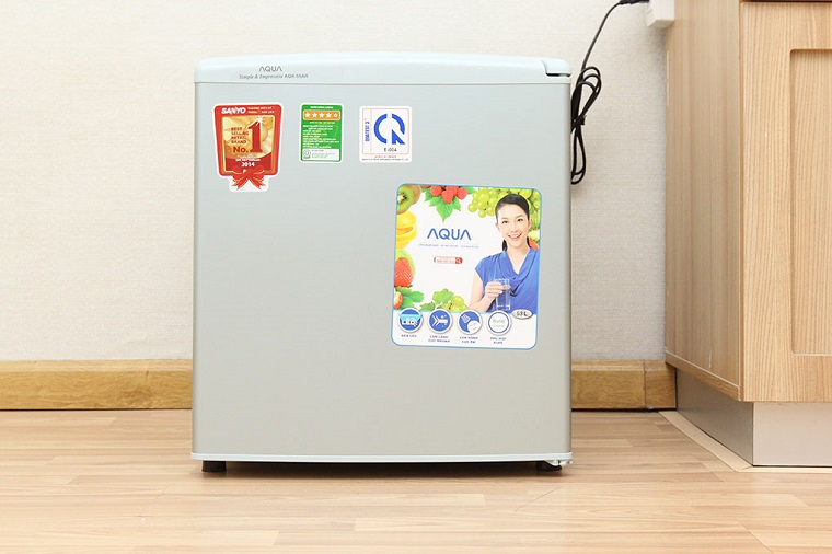 Cách chọn tủ lạnh mini giá rẻ, chất lượng cho sinh viên, người ở trọ