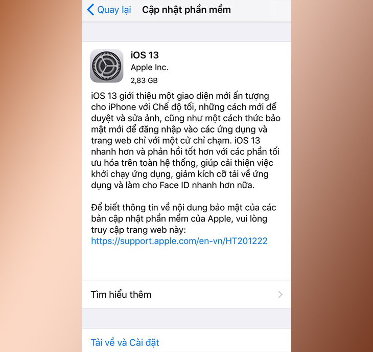 Hướng dẫn cách cập nhật iOS 13, iPadOS ngay trên iPhone/iPad