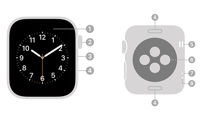 các nút trên Apple Watch