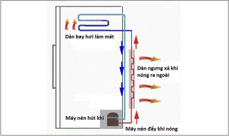 Vì sao tủ lạnh mới bị nóng hai bên? Nguyên nhân và cách khắc phục