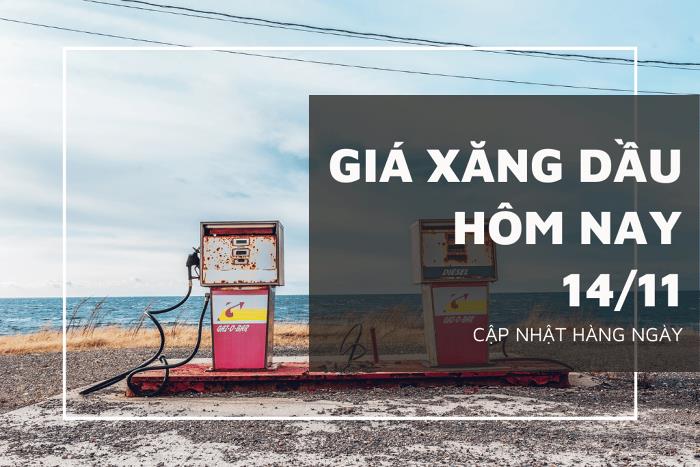 Giá xăng dầu hôm nay (ngày 14/11/2023): Tăng lên do lo ngại nguồn cung