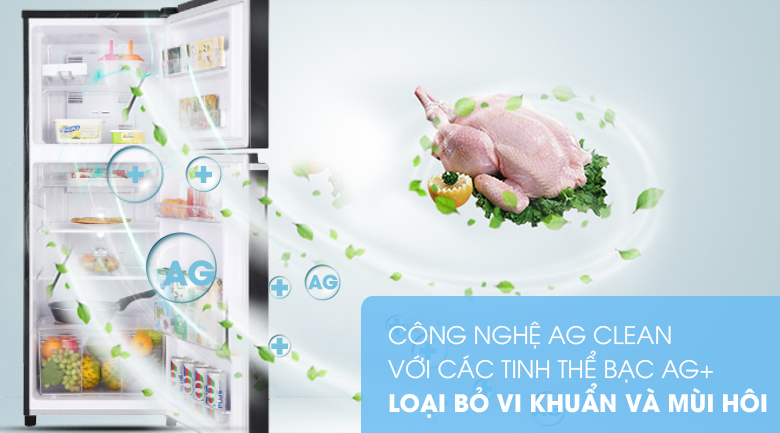 Tổng hợp công nghệ kháng khuẩn, khử mùi trên các dòng tủ lạnh