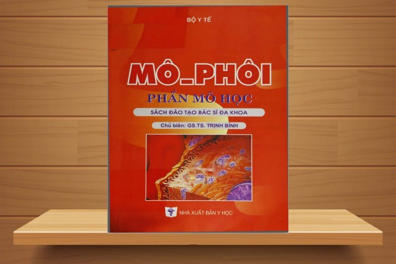 [TẢI Ebook] Sách Mô Phôi PDF Miễn Phí, Đọc Online FULL