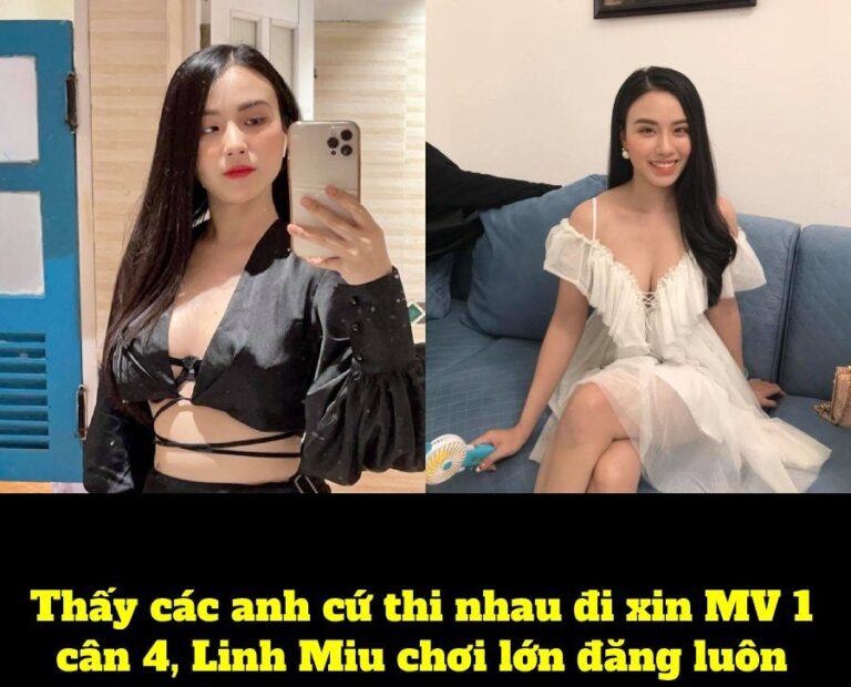 Thấy mấy anh cứ đua nhau đi xin “MV 1 cân 4 Full”, Linh Miu chơi lớn tung luôn toàn bộ: “Thích thì xem đi”